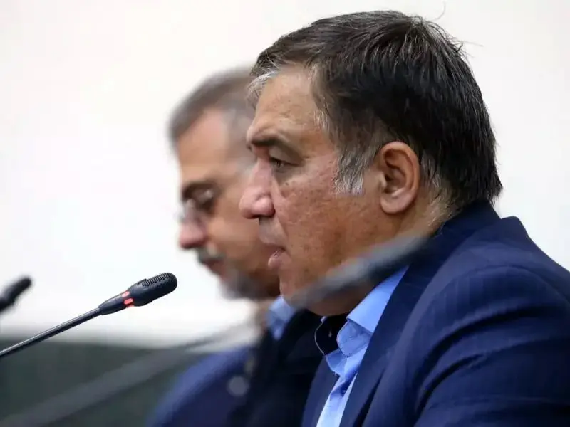 زمینی که به دارایی‌های استقلال اضافه شد