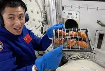 چینی ها در فضا بال کبابی درست کردند!