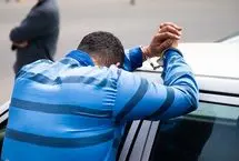 کارآگاه‌بازی زن کنجکاو سارق سریالی را به دام انداخت
