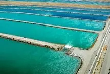 پزشکیان: از هر جا آب به تهران می‌آوریم ولی باز هم کم می‌آوریم