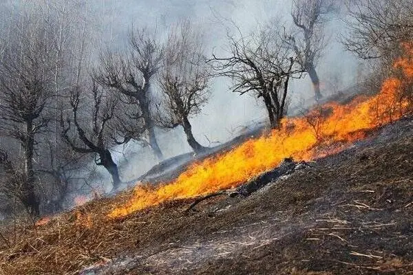 یک فوتی در جریان مهار آتش‌سوزی مراتع سنندج