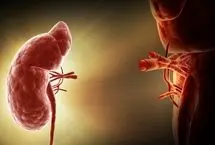 گام بلند دانشمندان برای نجات بیماران کلیوی