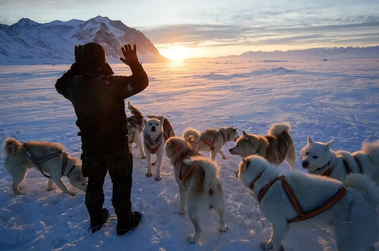 وقتی سگ سورتمه دوربین خبرنگار را ربود