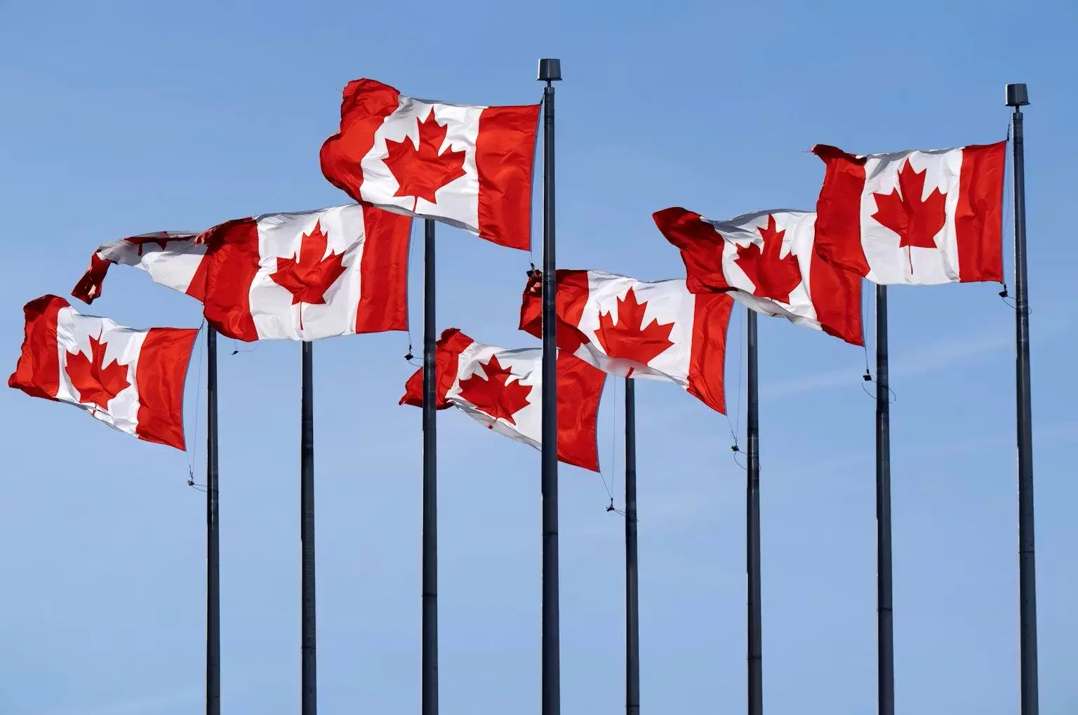 کانادا از لغو تعرفه ها توسط دیوان عالی آمریکا استقبال کرد