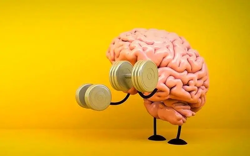 ورزش برای مغز