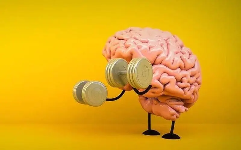 ورزش برای مغز