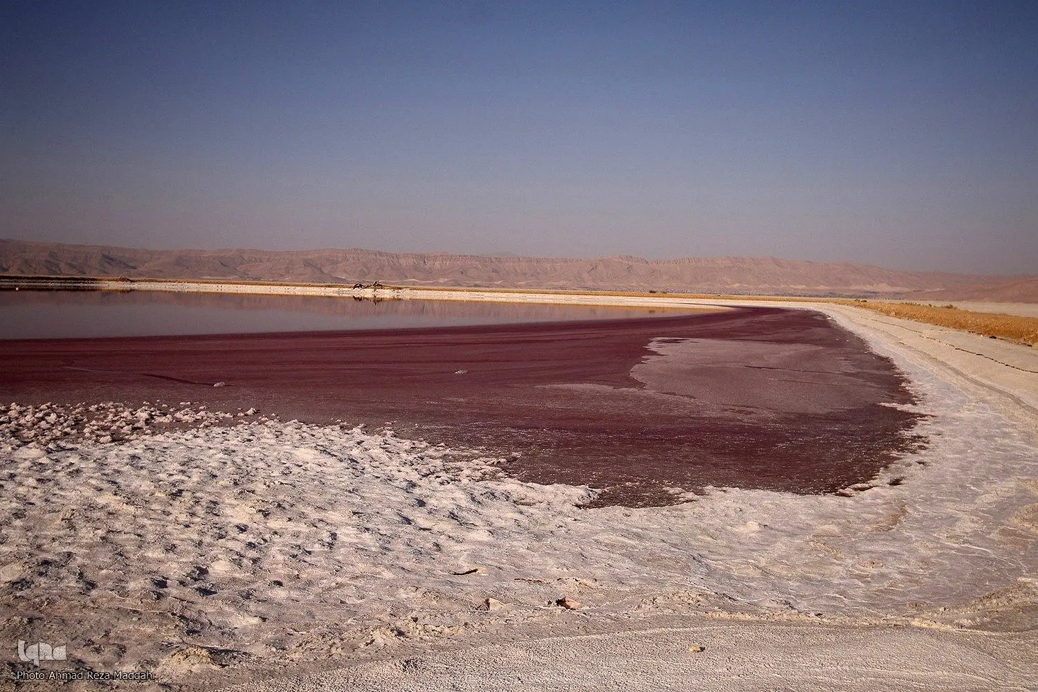 چاه‌های کشاورزی نفس تالاب مهارلو را بریدند/ هشدار درباره تبدیل شدن به کانون گردوغبار
