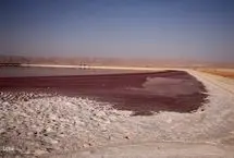 بارندگی‌های به داد کدام تالاب‌ها رسید؟