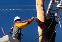 نجات یک خرس از خطر برق‌گرفتگی روی تیر برق