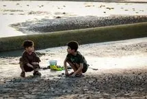 تصاویر؛ نبض زندگی در بوشهر