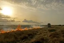 ۵۳۶ هکتار از میانکاله در آتش سوخت