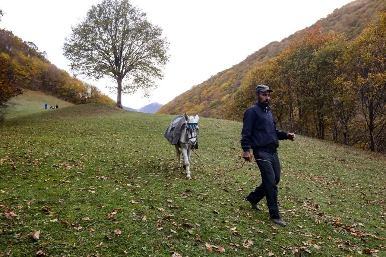 تصاویر؛ طبیعت پاییزی روستای نمنق