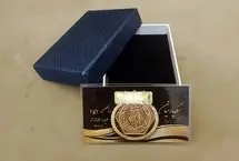 قیمت سکه پارسیان از 17 میلیون گذشت