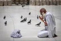 تصاویری از حال و هوای معنوی حاجیان در مناسک حج