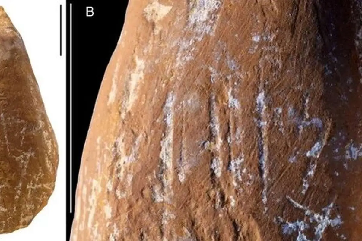 نئاندرتال‌ها مدادشمعی داشتند؟