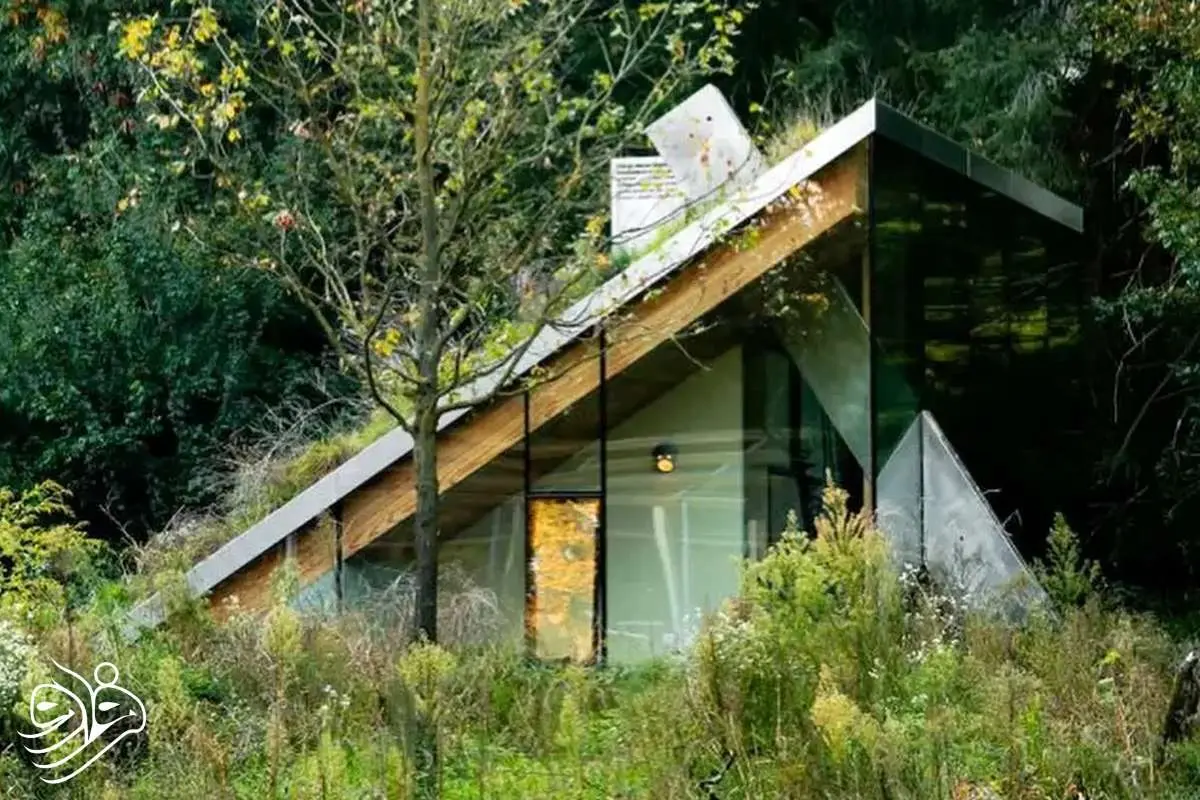 خانه‌ای رویایی که سقفش میزبان پرندگان و خفاش‌هاست