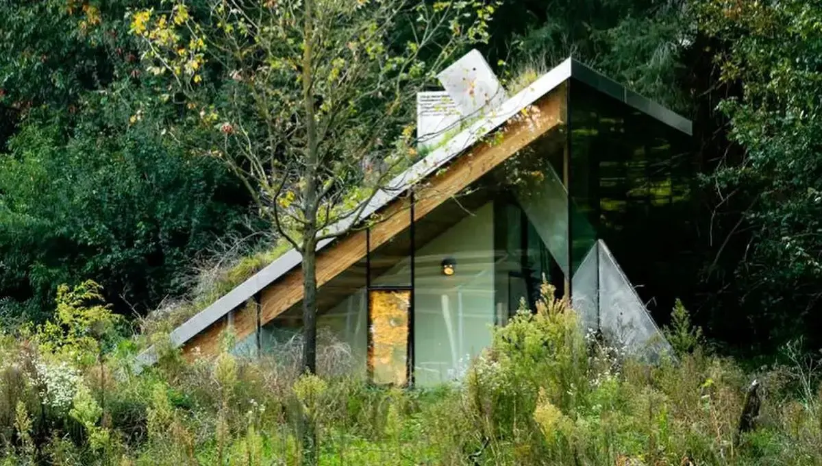 خانه‌ای رویایی که سقفش میزبان پرندگان و خفاش‌هاست