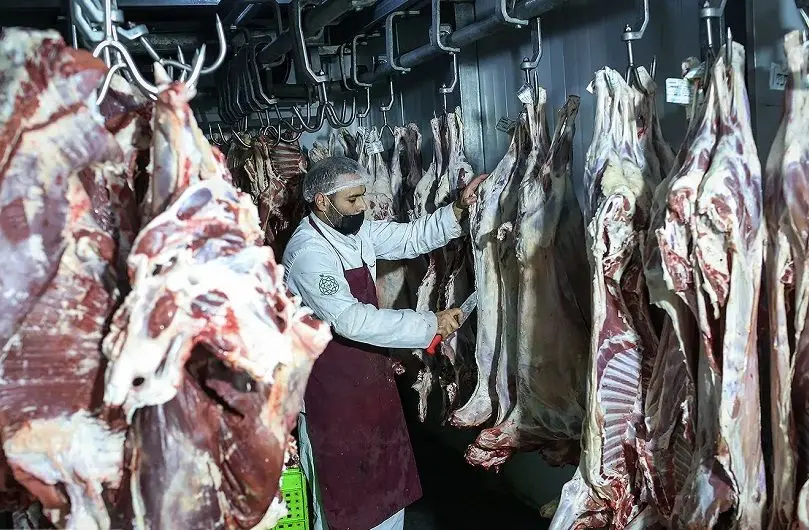 دو علت بزرگ برای گرانی گوشت در بازار‌