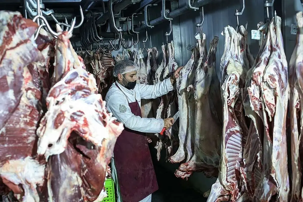 دو علت بزرگ برای گرانی گوشت در بازار‌