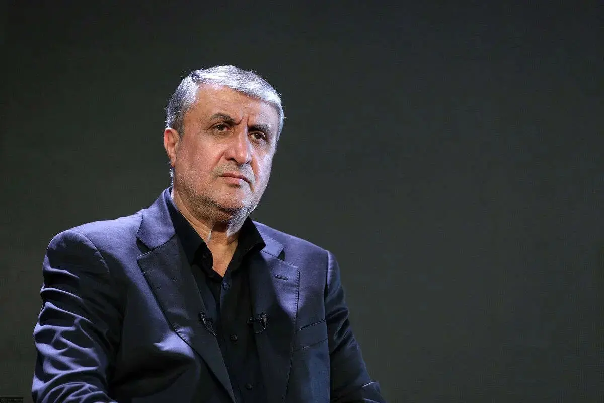 واکنش اسلامی به گزارش مدیرکل سازمان انرژی اتمی