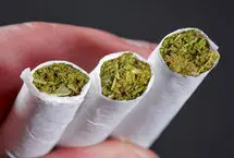 دلایل گرایش نوجوانان به مصرف «گل» چیست؟ نتایج یک تحقیق میدانی جدید