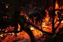 تصاویر؛ فرانسه و اسپانیا در محاصره شعله‌ها