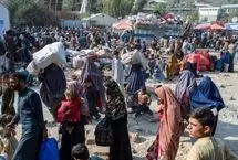 قالیباف جلوی این فاجعه بزرگ می‌ایستد؟؛ به اسم ساماندهی اتباع افغانی، منافع کشور را نابود می کنید