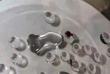 چرا ساس‌ها از آب وحشت دارند؟