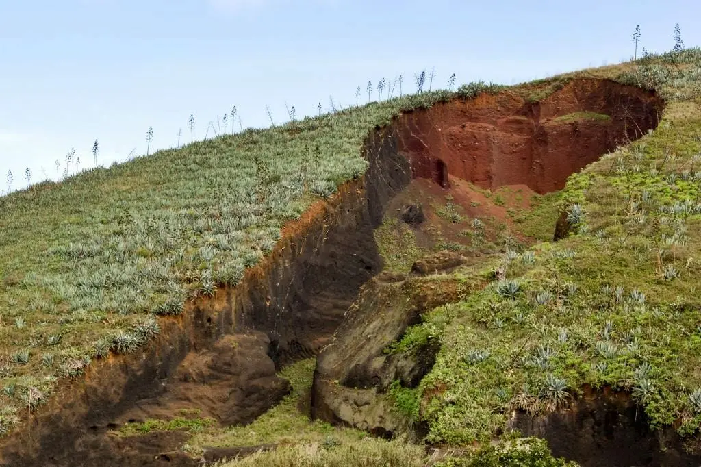 ایران رتبه یک تا سه فرسایش خاک را دارد
