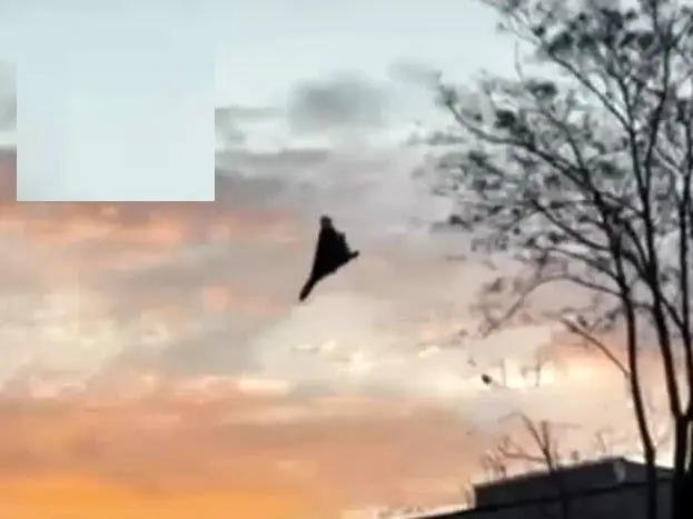 لحظه اصابت پهپاد به یک تأسیسات در دنیپرو اوکراین
