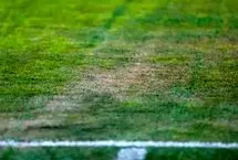 وضعیت عجیب چمن یادگار در آستانه زمستان