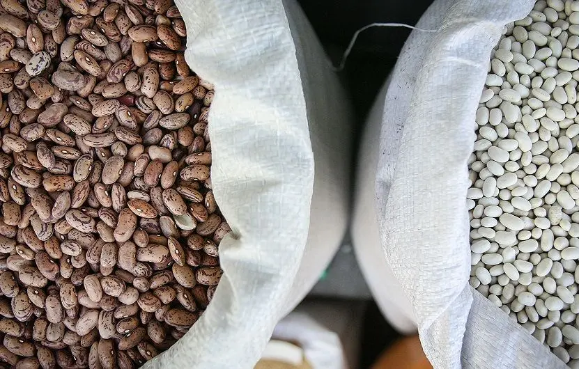 قیمت جدید لوبیاچیتی در بازار