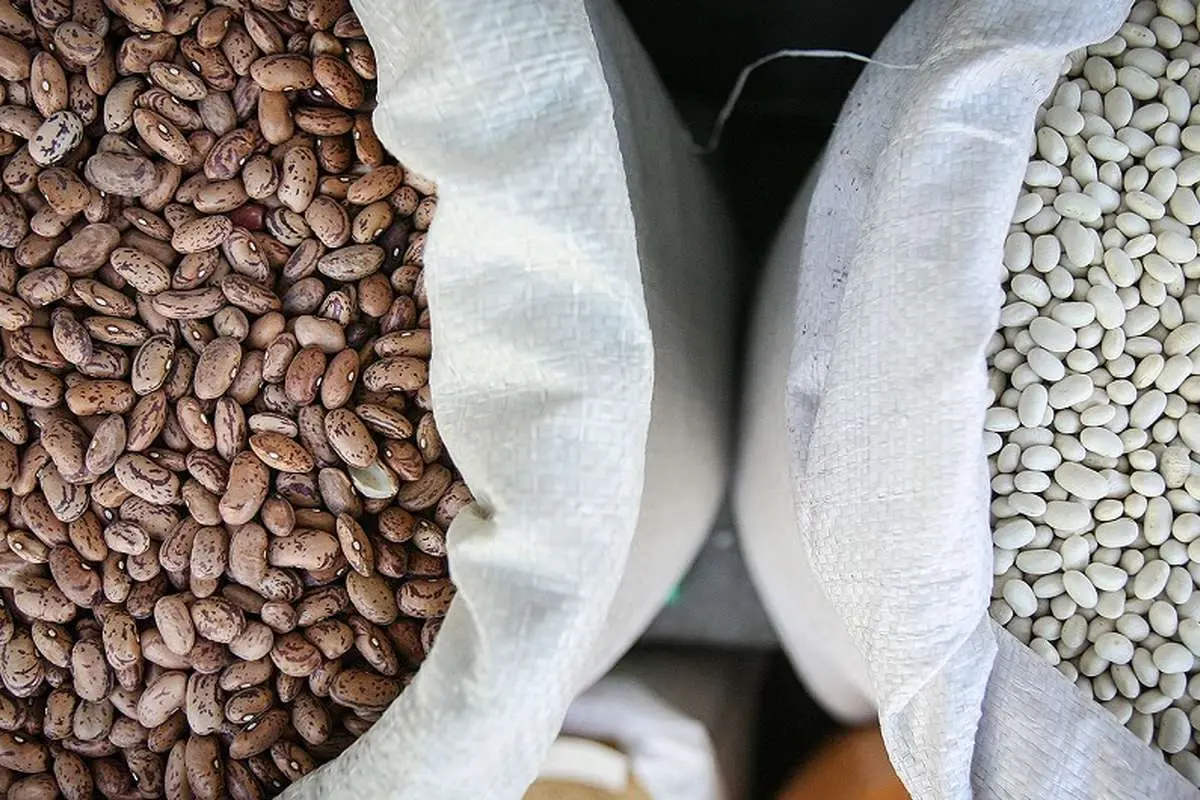 قیمت جدید لوبیاچیتی در بازار