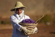 سود افغانستان از قطع اینترنت در ایران