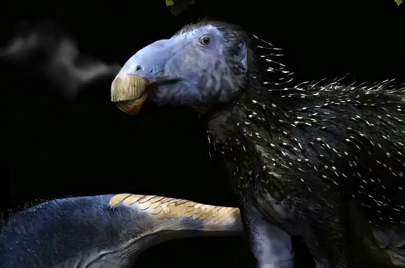 کشف هیولای خاردار 125 میلیون ساله در چین