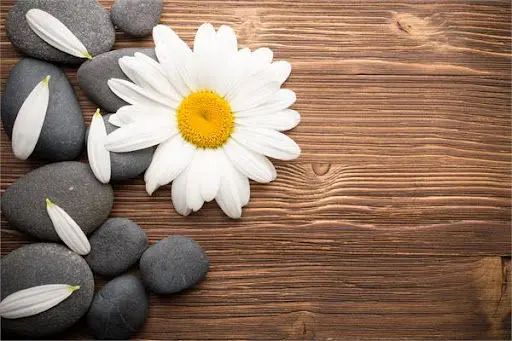 تفال به حافظ سه شنبه 6 خرداد ۱۴۰۴؛ از خون دل نوشتم نزدیک دوست نامه......