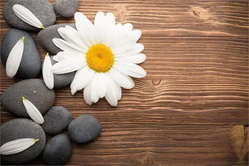 تفال به حافظ سه شنبه 6 خرداد ۱۴۰۴؛ از خون دل نوشتم نزدیک دوست نامه......