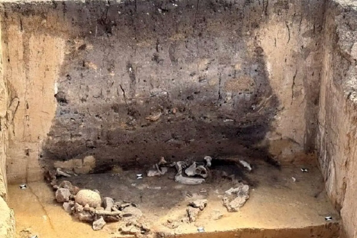 کشف گودالهای آیینی ۵۰۰۰ ساله در آلمان؛ رازهای نوسنگی برملا شد
