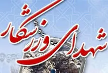 شهادت ووشوکار ایرانی در حملات اسرائیل