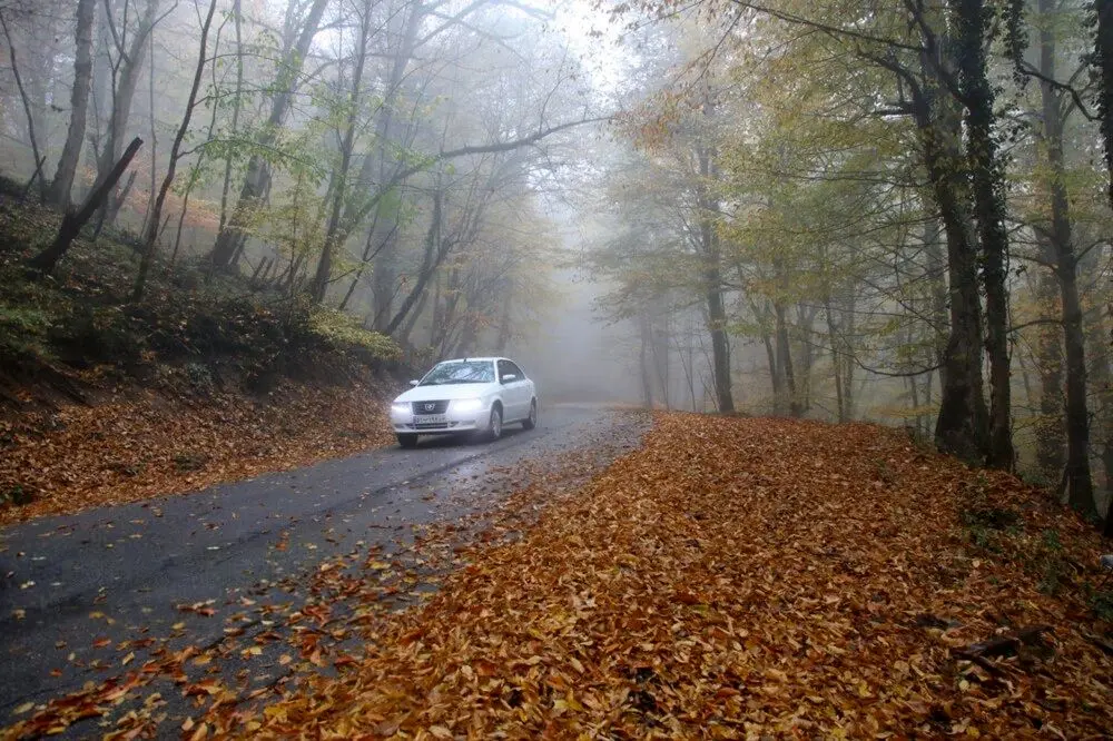 تصاویر؛ بازگشت باران به سوادکوه