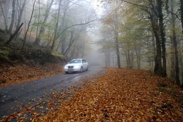 تصاویر؛ بازگشت باران به سوادکوه