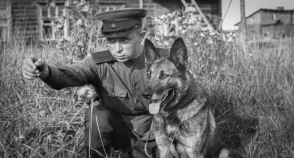 از بوی دیزل تا فریب بنزین؛ سلاح جنجالی ارتش سرخ