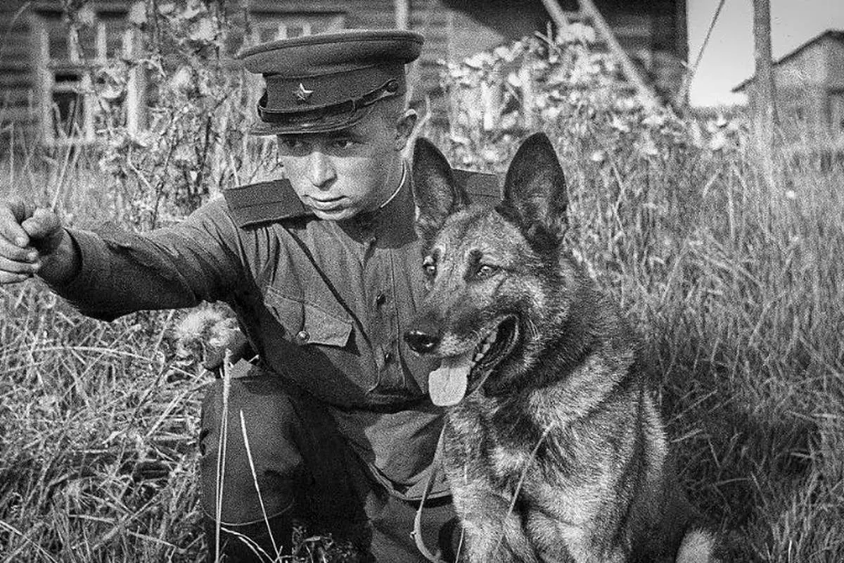 از بوی دیزل تا فریب بنزین؛ سلاح جنجالی ارتش سرخ