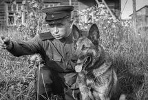 از بوی دیزل تا فریب بنزین؛ سلاح جنجالی ارتش سرخ