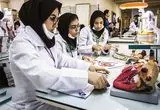 اینجا ادامه تحصیل گران است!