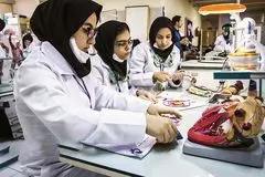 اینجا ادامه تحصیل گران است!