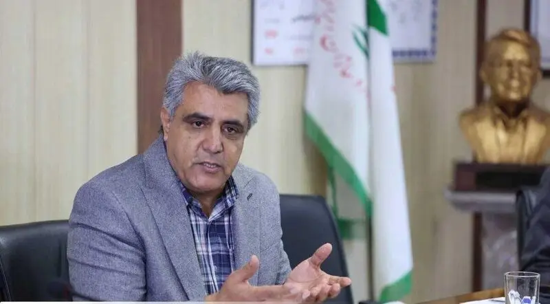 هادی احمدی
