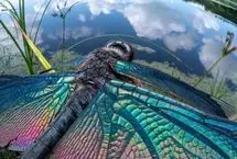 تصاویر خیره‌کننده‌ از دنیای حشرات