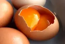 زرده تخم مرغ برای افراد کبد چرب ضرر دارد؟!