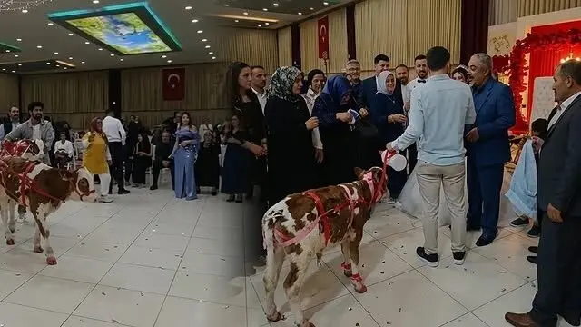 هدیه عجیب در یک مراسم عروسی